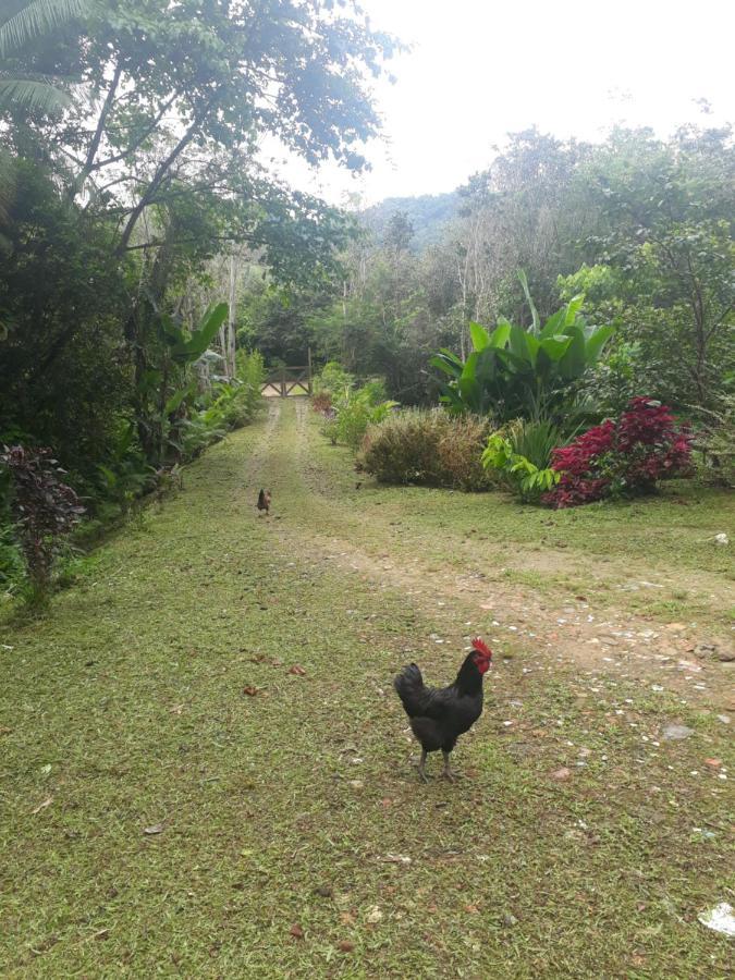 Recanto Dos Lobosco Villa Araquari Eksteriør bilde